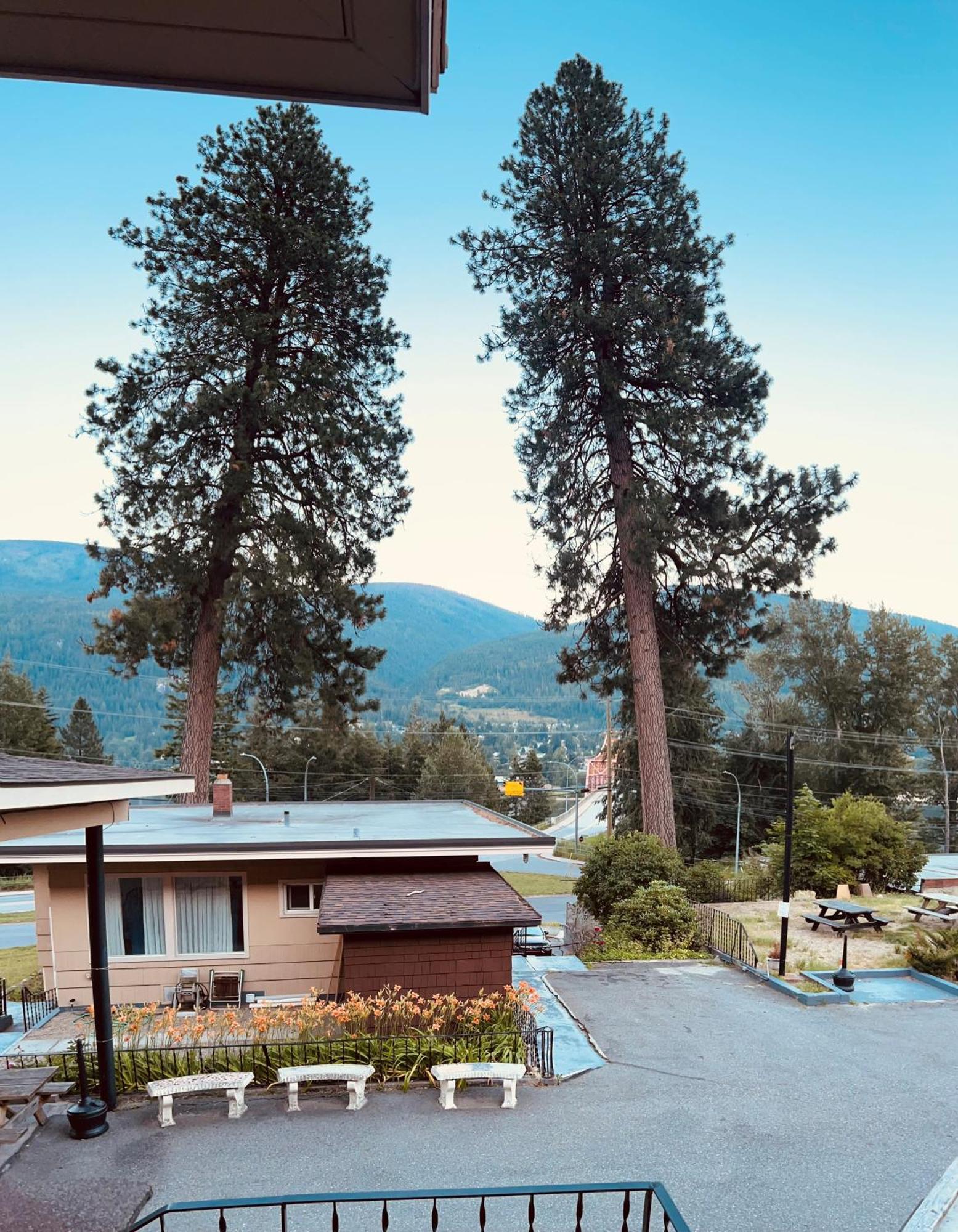 Villa Motel Нельсон Экстерьер фото
